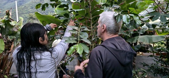 Inside Peru Coffee Experience in Lucmabamba during the Salkantay Lodge-Based Trek
