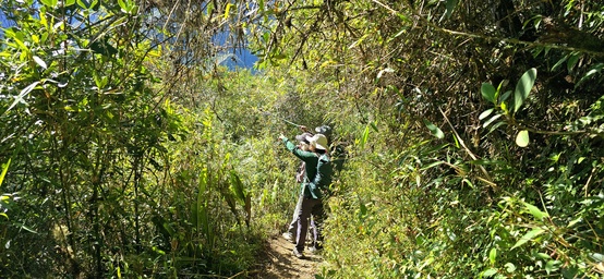 Descending from Llactapata toward Hidroelectrica on the Salkantay Lodge-Based Trek