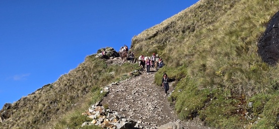 Horsemen and support team on the Salkantay Trek