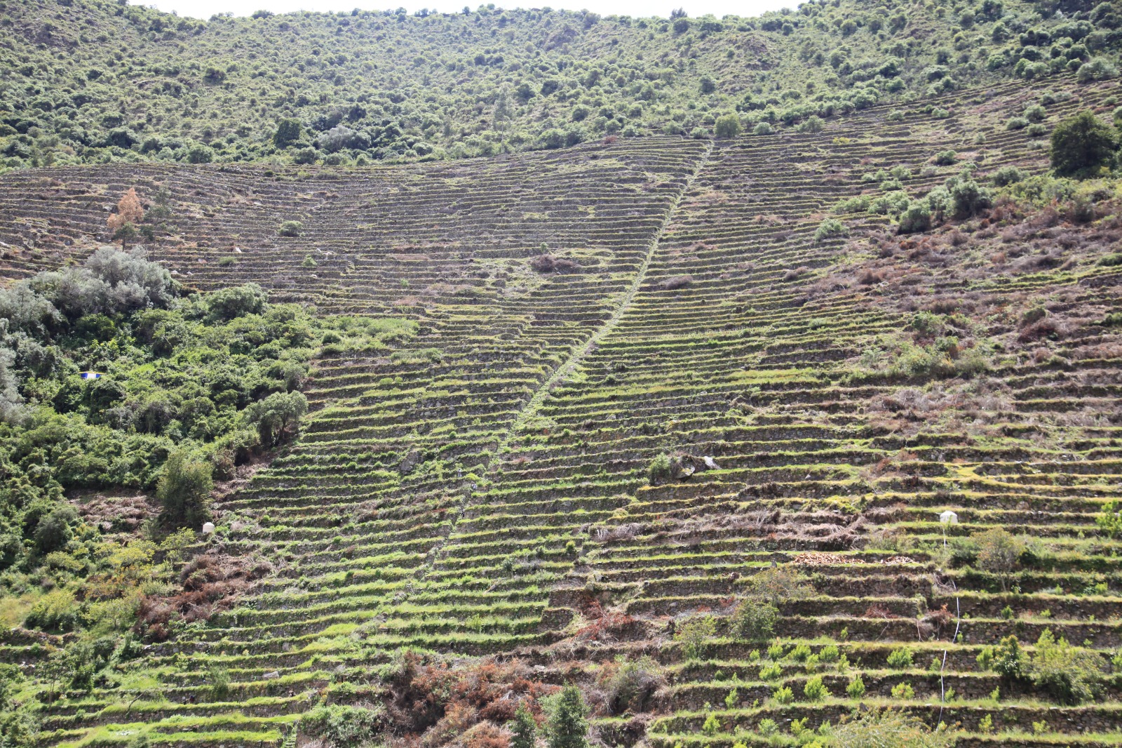 Pumamarka Hike from Ollantaytambo