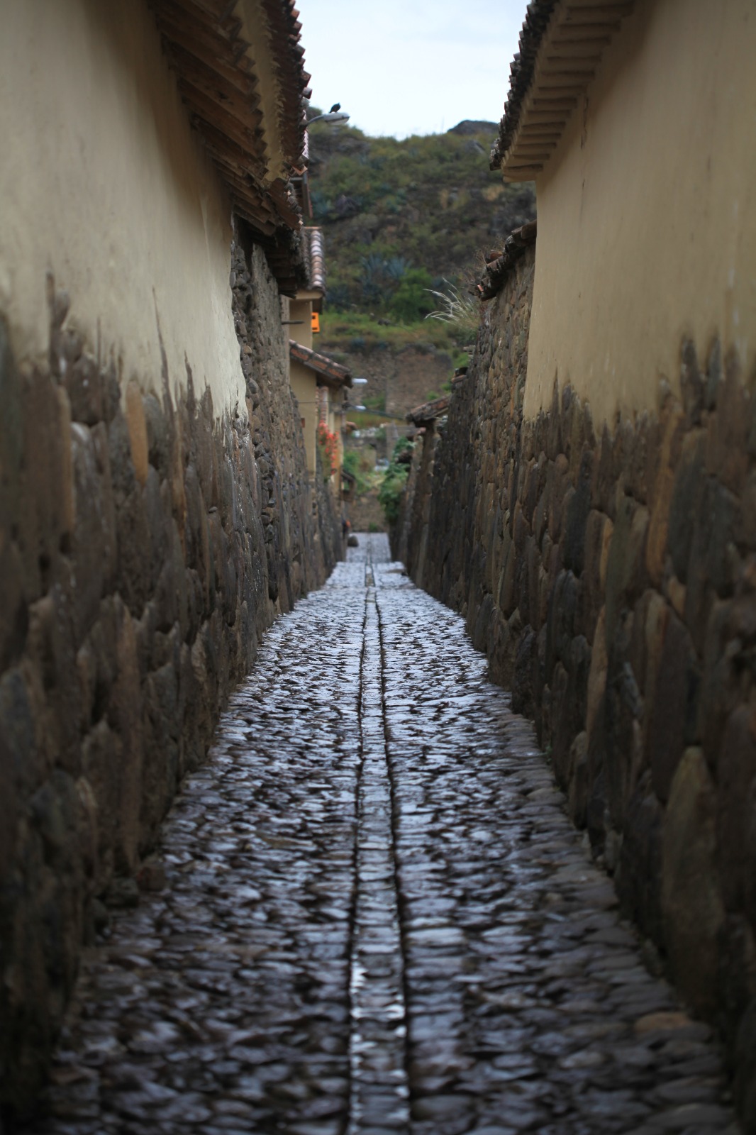 Local Andean experience and mountain scenery