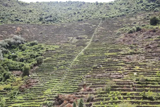 Pumamarka Hike and Local Andean Experience